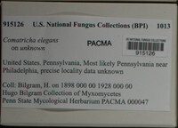 Image Associated With the Occurence